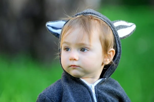 Gray Raccoon Jacket
