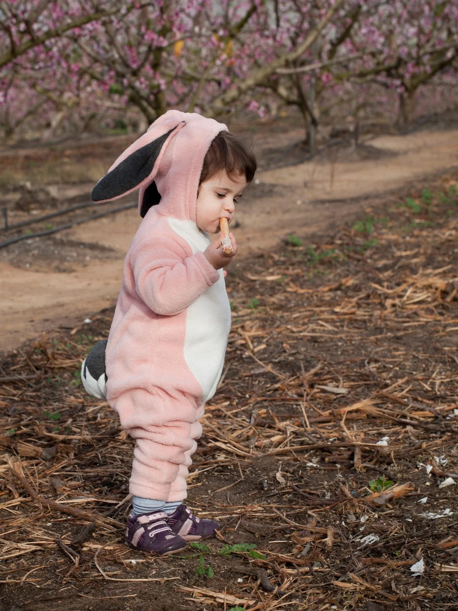 Pink Bunny Jumpsuit Costume