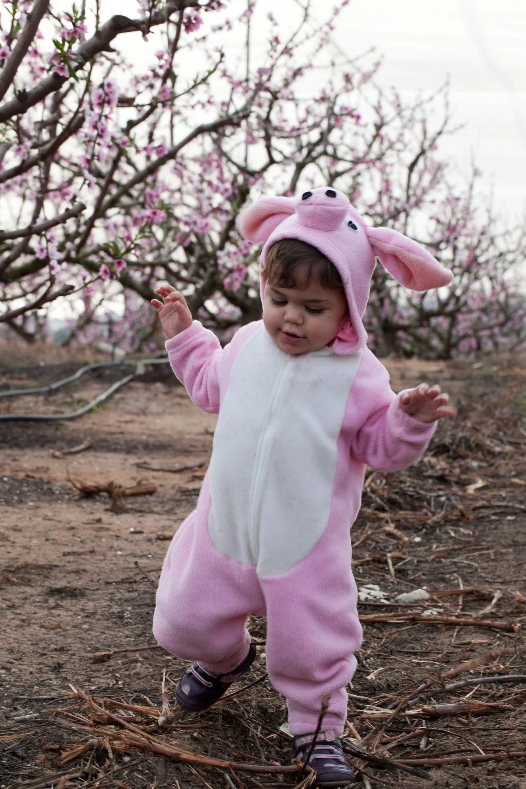 Pink Piggy Jumpsuit Costume - Image 2