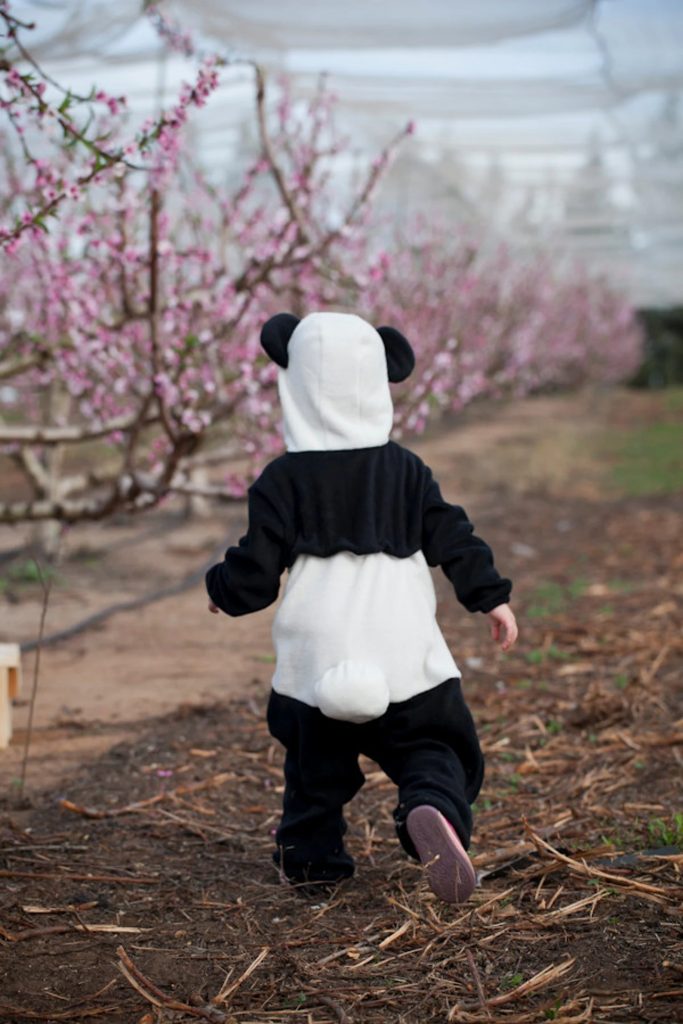 Suits Costumes for Kids